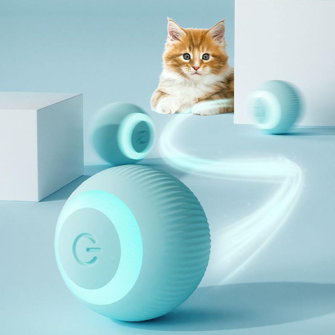 Bola Elétrica Interativa para Gatos