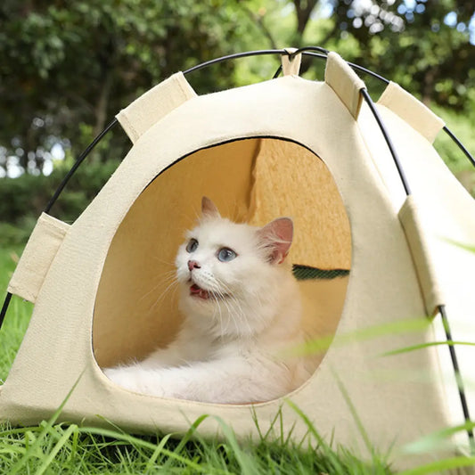 Mini Barraca/Tenda para Gatos