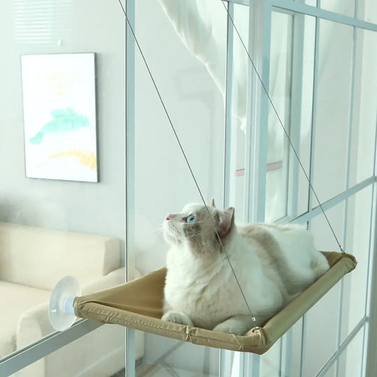 Cama Suspensa com Ventosas para Gatos